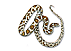 Змея Зороастрийский гороскоп