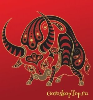 Совместимость Быка - Китайский гороскоп