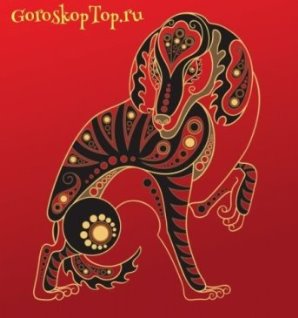 Совместимость Собаки - Китайский гороскоп