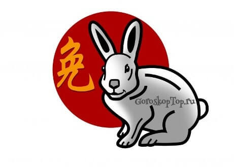Гороскоп Кролика на 2022: удача, прогноз по китайскому гороскопу