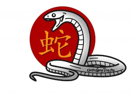 Гороскоп Змеи на 2022: удача, прогноз по китайскому гороскопу
