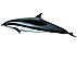 Дельфин Зороастрийский гороскоп